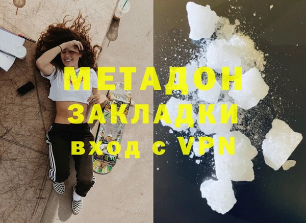 гашик Алексин