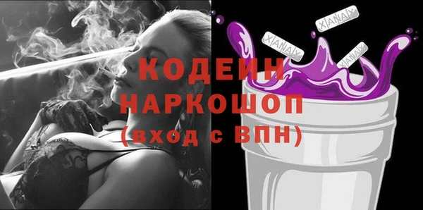 гашик Алексин
