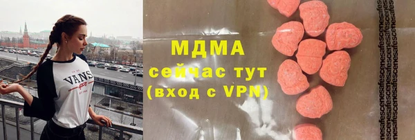 гашик Алексин