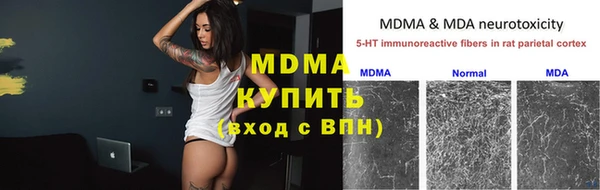 гашик Алексин
