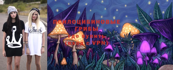 шишки Алексеевка