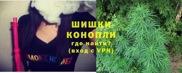 шишки Алексеевка