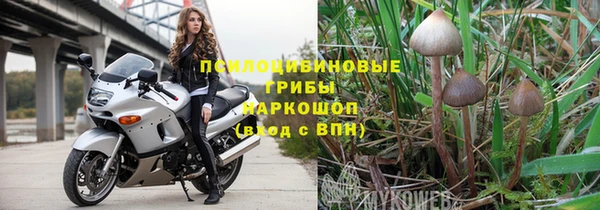 шишки Алексеевка