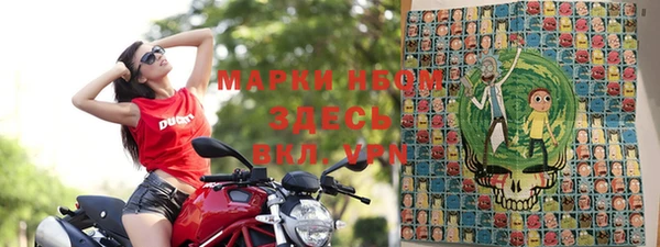 гашик Алексин