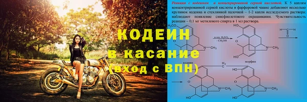 гашик Алексин