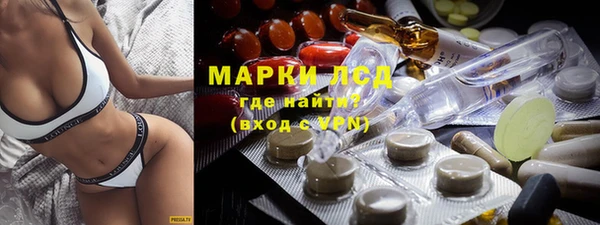 гашик Алексин