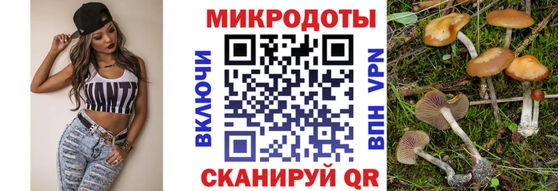 Галлюциногенные грибы GOLDEN TEACHER  Жиздра 